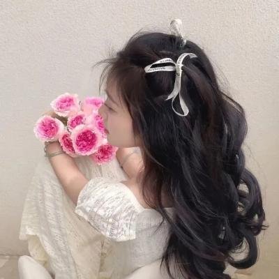 霸王大系龙骑士